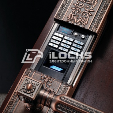 Биометрический электронный замок для двери F5100 Red Copper
